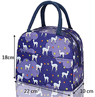 Lunch Bag for Women, Men and Kids